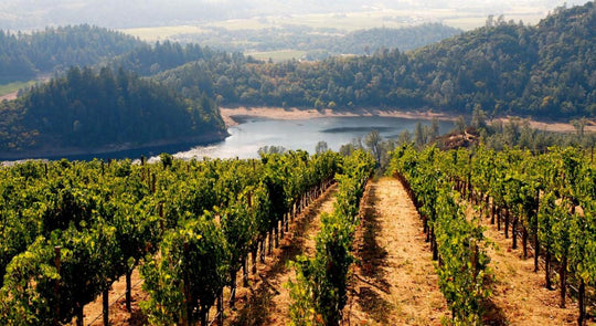 Discovering Californian wines