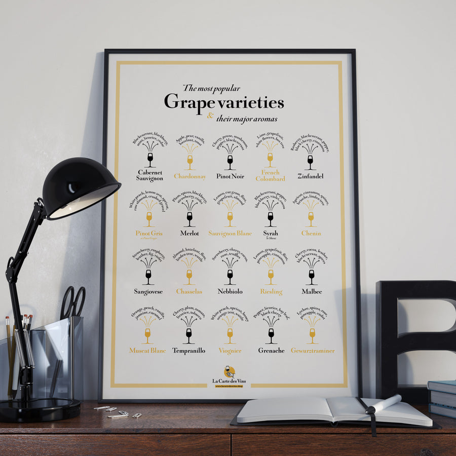Grape Varieties Aromas